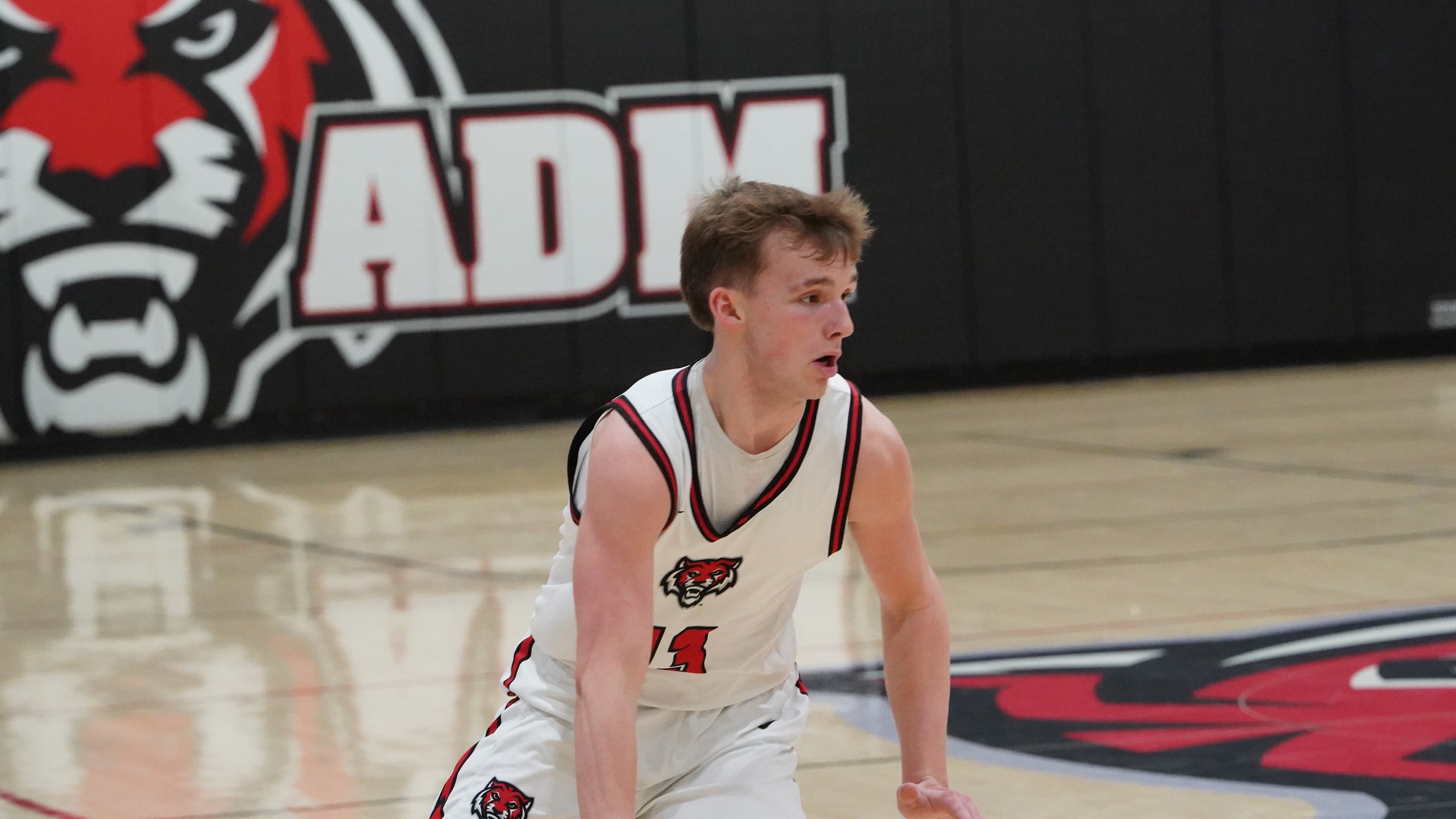 Tigers Roll Past Cardinals