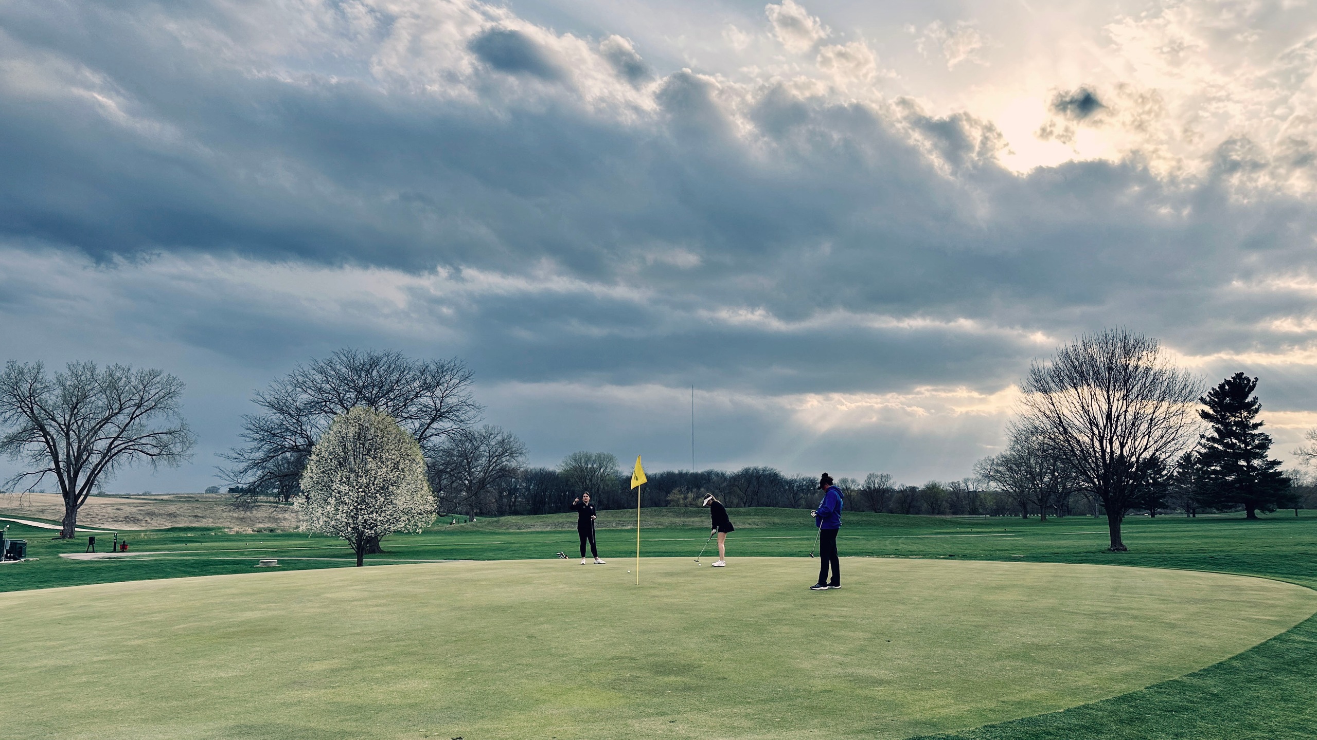 Tigers Hot in Triangular